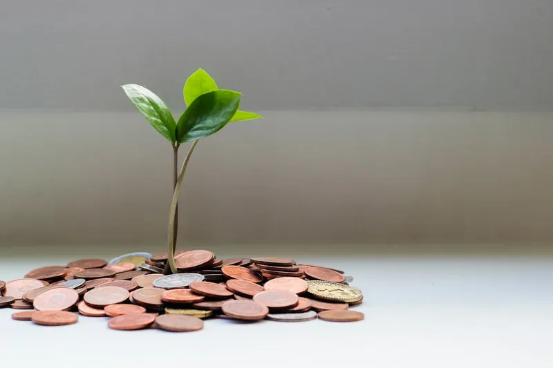 Investment Management - green plant growing on coins